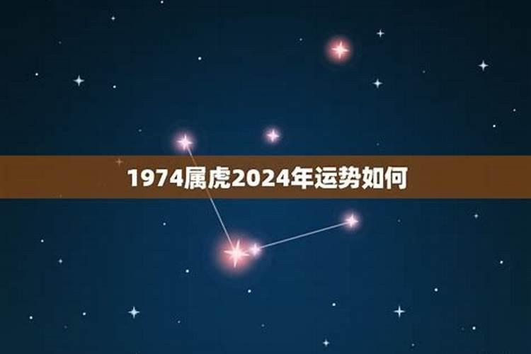 81年2023今年运势