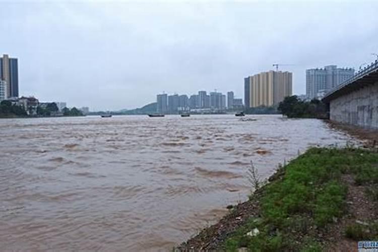 梦到下雨了发洪水