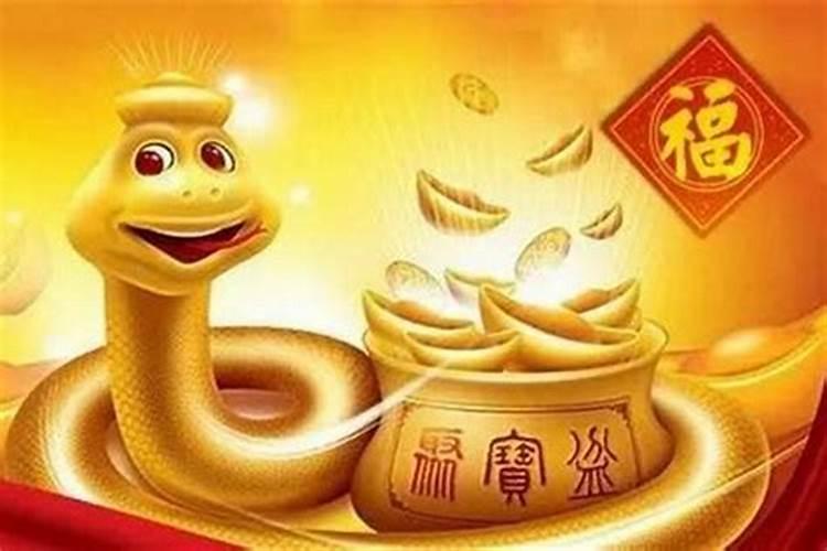 属蛇今年运气不好