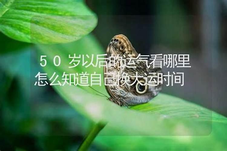 30岁的运气