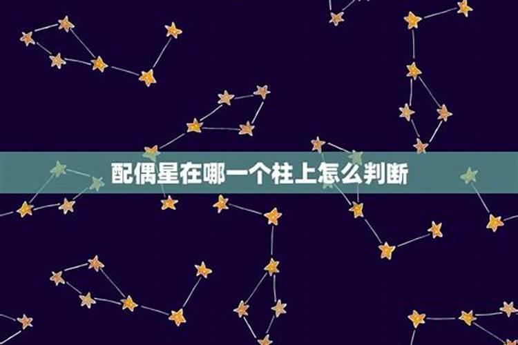 八字中配偶星看哪里