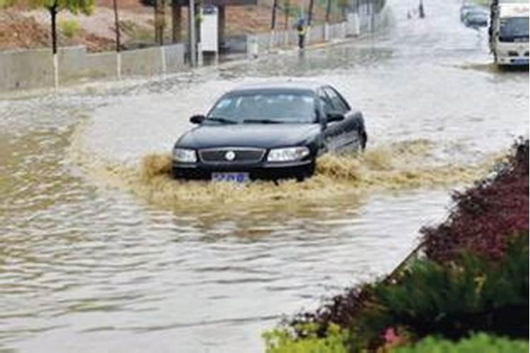 梦见下暴雨洪水倾泻什么意思