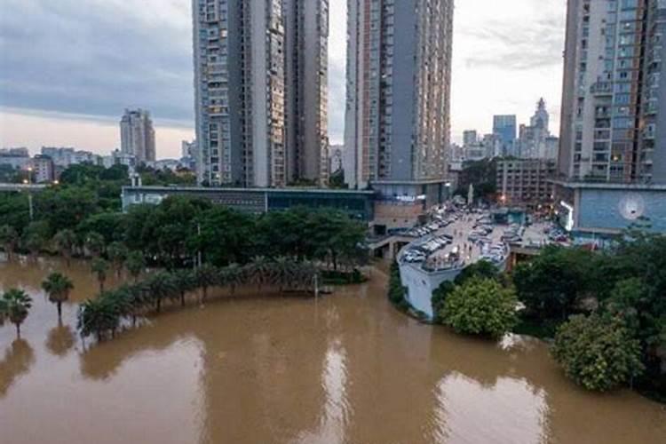 梦见下暴雨涨大洪水