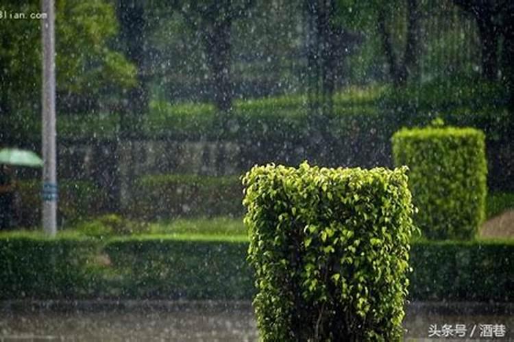 本命年女人梦见下雨什么预兆解梦