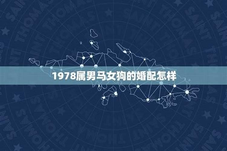 77年和78年八字合吗