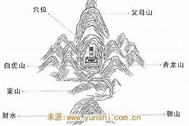 生辰八字带青山是什么意思