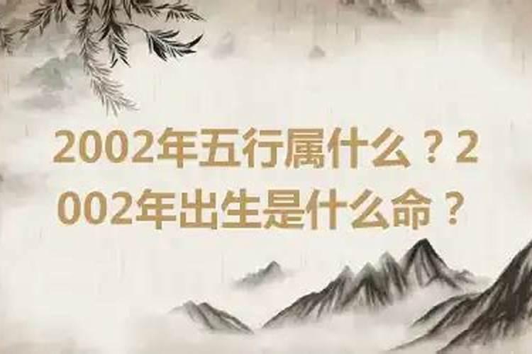 2002年出生是什么命？