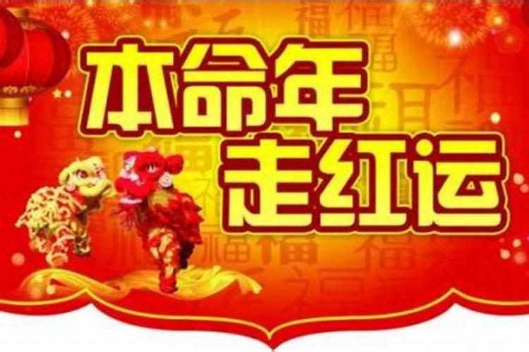 今年犯太岁的人属什么属相呢