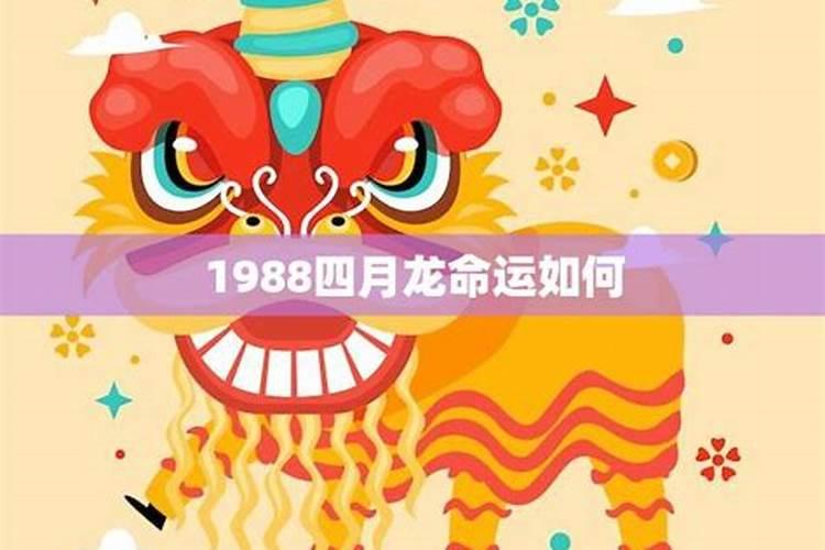 1988属龙出生日的命运