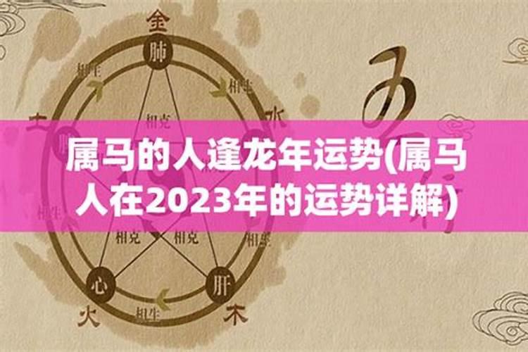 属马人龙年运势2023年