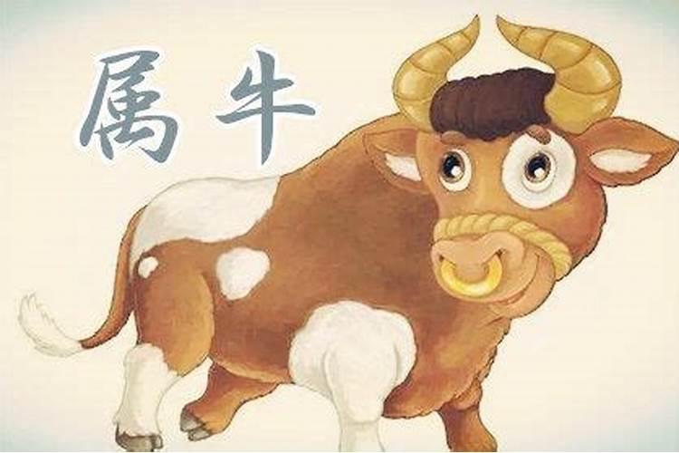 73年属牛运程怎么样