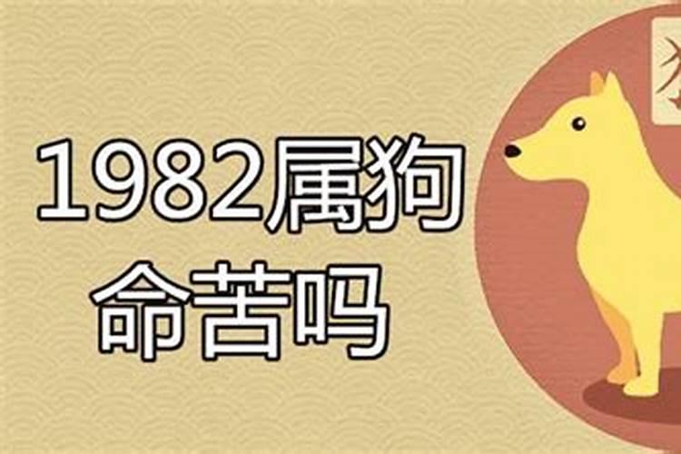 82年属狗人最穷不过41岁女