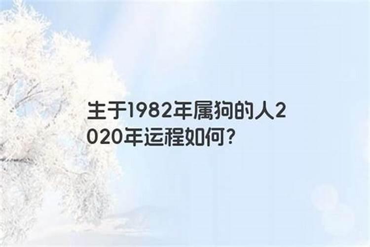 1982年腊月狗在2023年运程