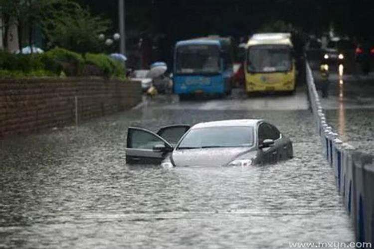 梦见洪水冲走宠物什么意思