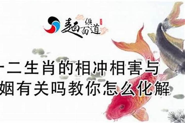 梦见和别的女人发生争执