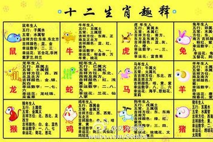 1997年属牛学业运势如何