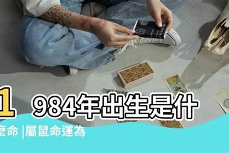 84年的老鼠在2021年的运势