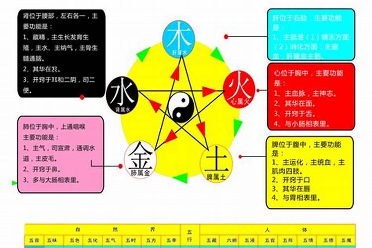 五行分析表