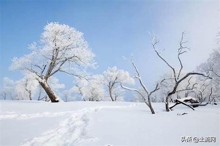 腊月下雪预示来年