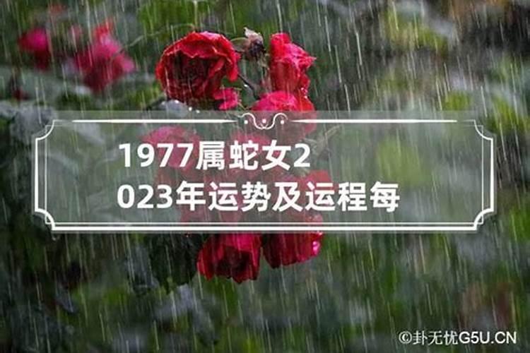 77年属蛇女10月运势如何