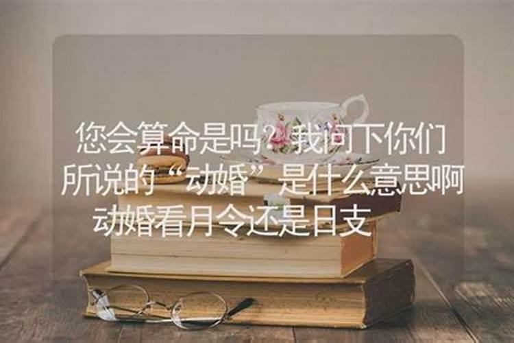 算命说动了婚姻是什么意思