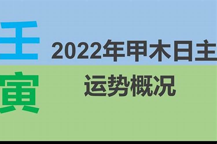 属兔2023年运势第一运程