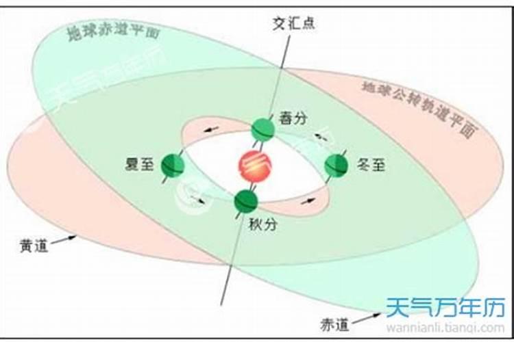 梦见人掉进水