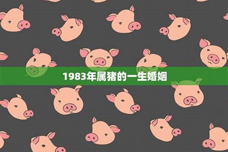 1983年九月属猪一生运势如何