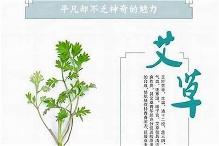 梦见狗扑向自己但没咬