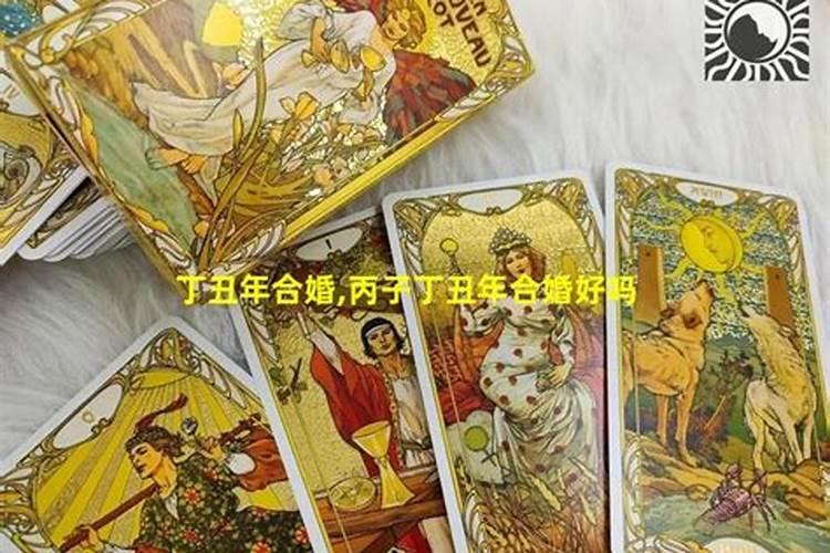 丙子丁丑年合婚好吗