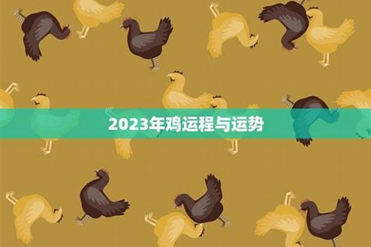 属鸡的2023年运势和财运怎么样