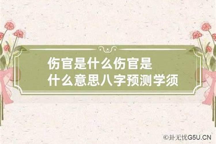 命理分析师是什么