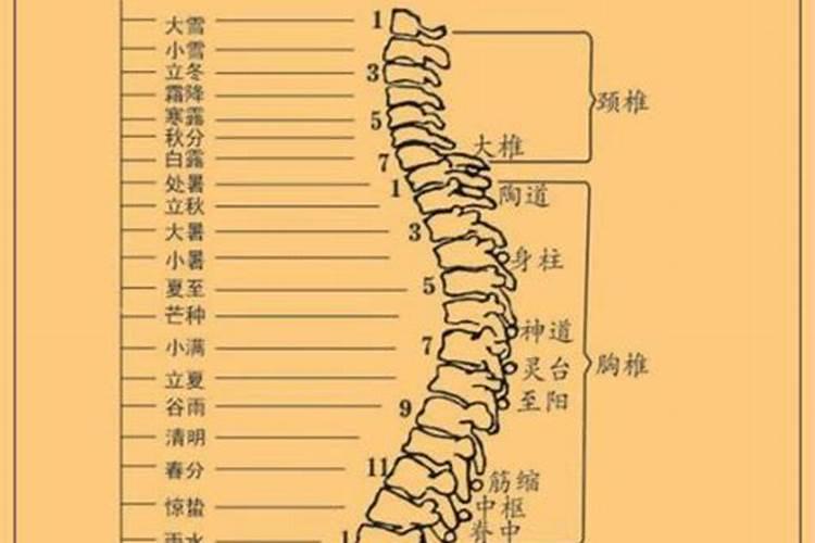 怀孕梦见小男孩是什么意思啊