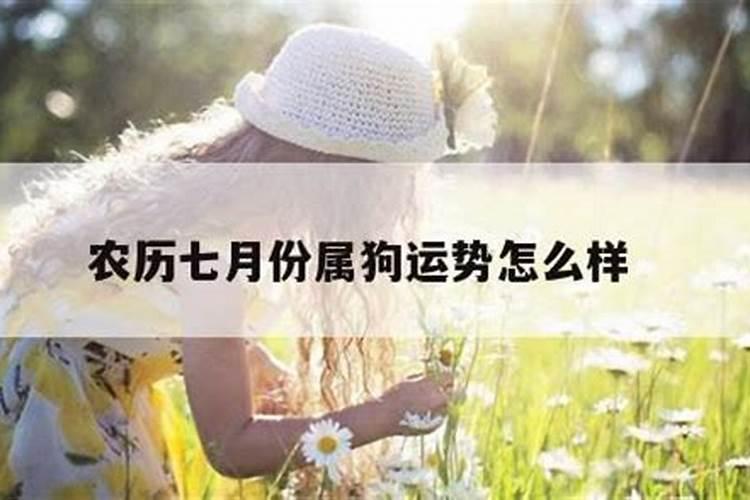 生肖狗农历九月份运势