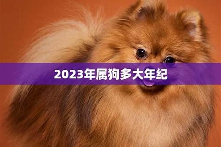 2023年属狗几岁