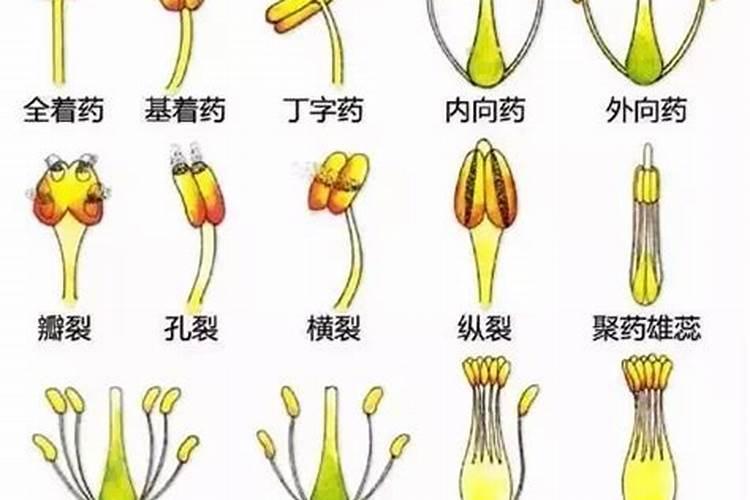 1982年七月十五号农历