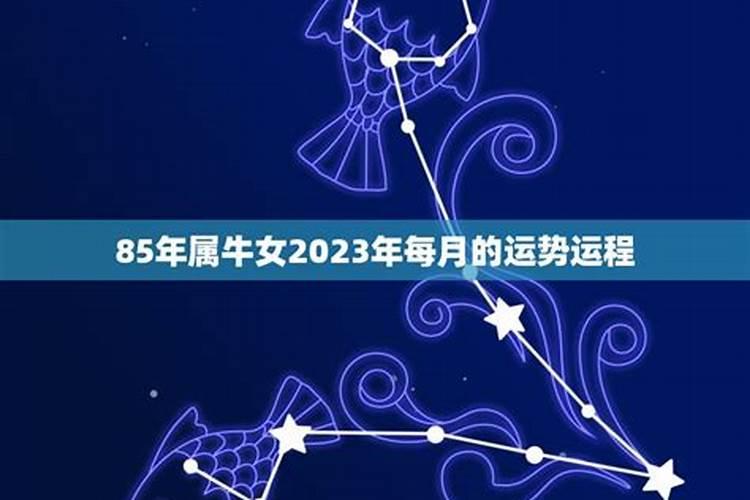 十二生肖2024年运势属虎