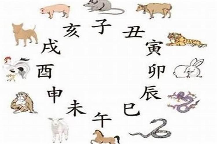 属蛇人与猪年相冲,运气会差吗