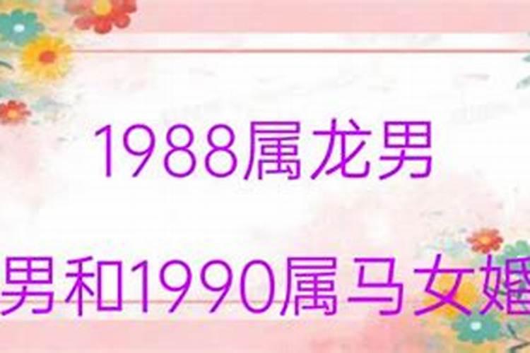 1988与1988婚配