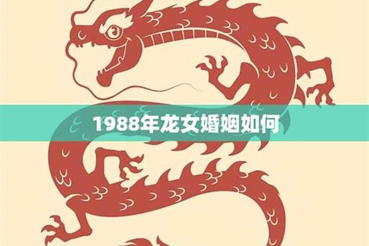 1988与1988婚配