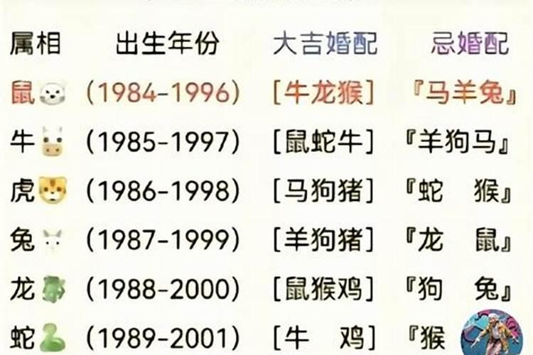 1988年属相婚配