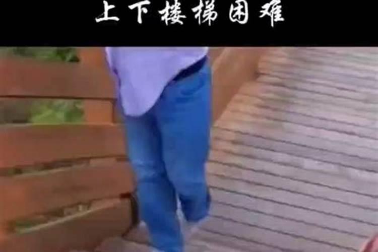 梦到鱼长腿走路