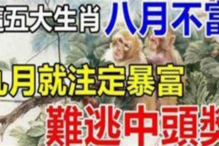 2023牛生肖运势运程如何