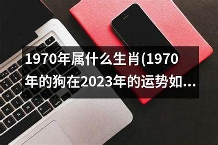 1970年的狗在2021年的运气