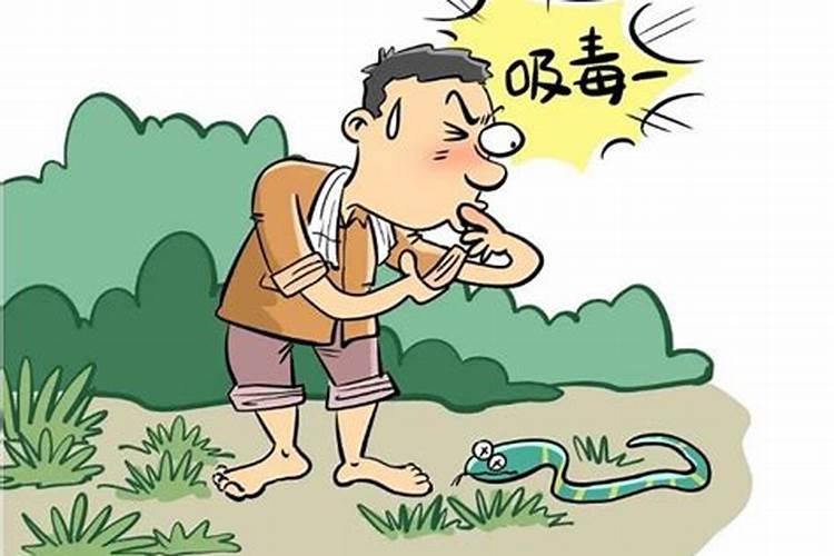 梦见奶奶还活着什么预兆解梦梦见蛇咬我