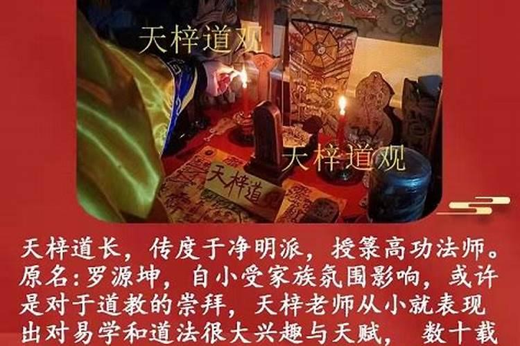 老板办公室放什么植物风水好一点