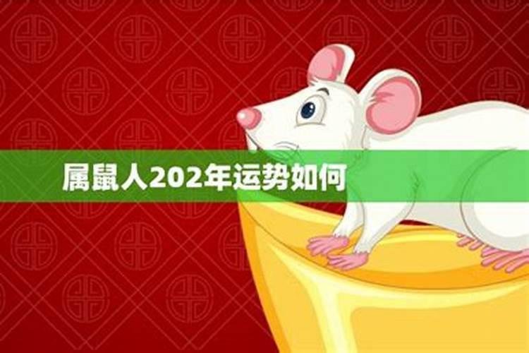 92年属鼠2021年的运程