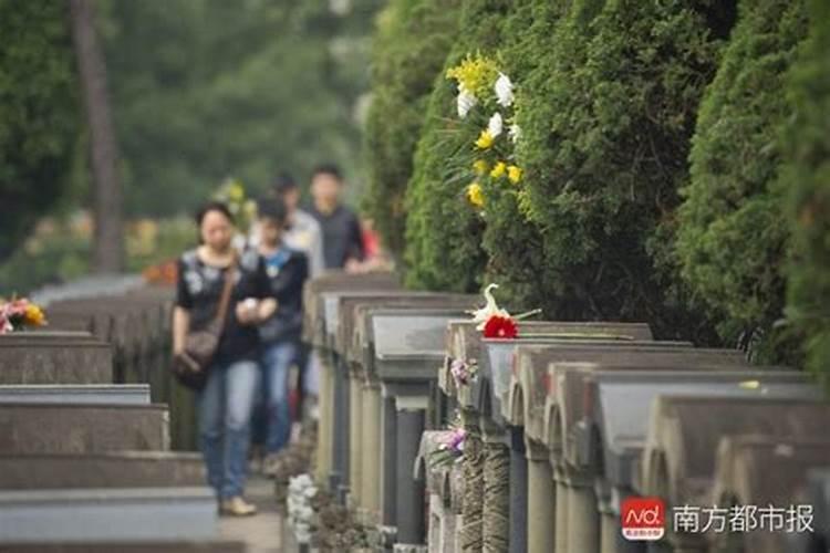 广州清明节拜祭安排时间