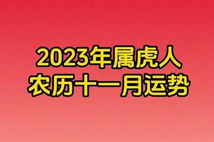 阴历十一月属虎的运程如何