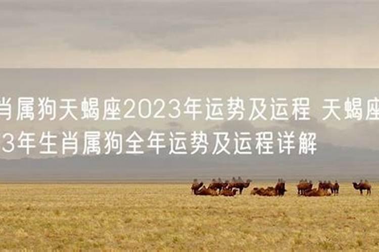 天蝎座2023年运势及运程